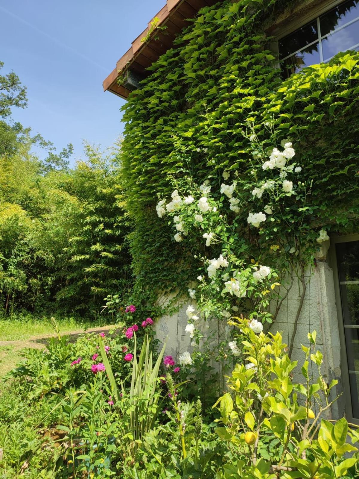 Chambre D'Hotes Le Moulin De Moulis Exterior foto